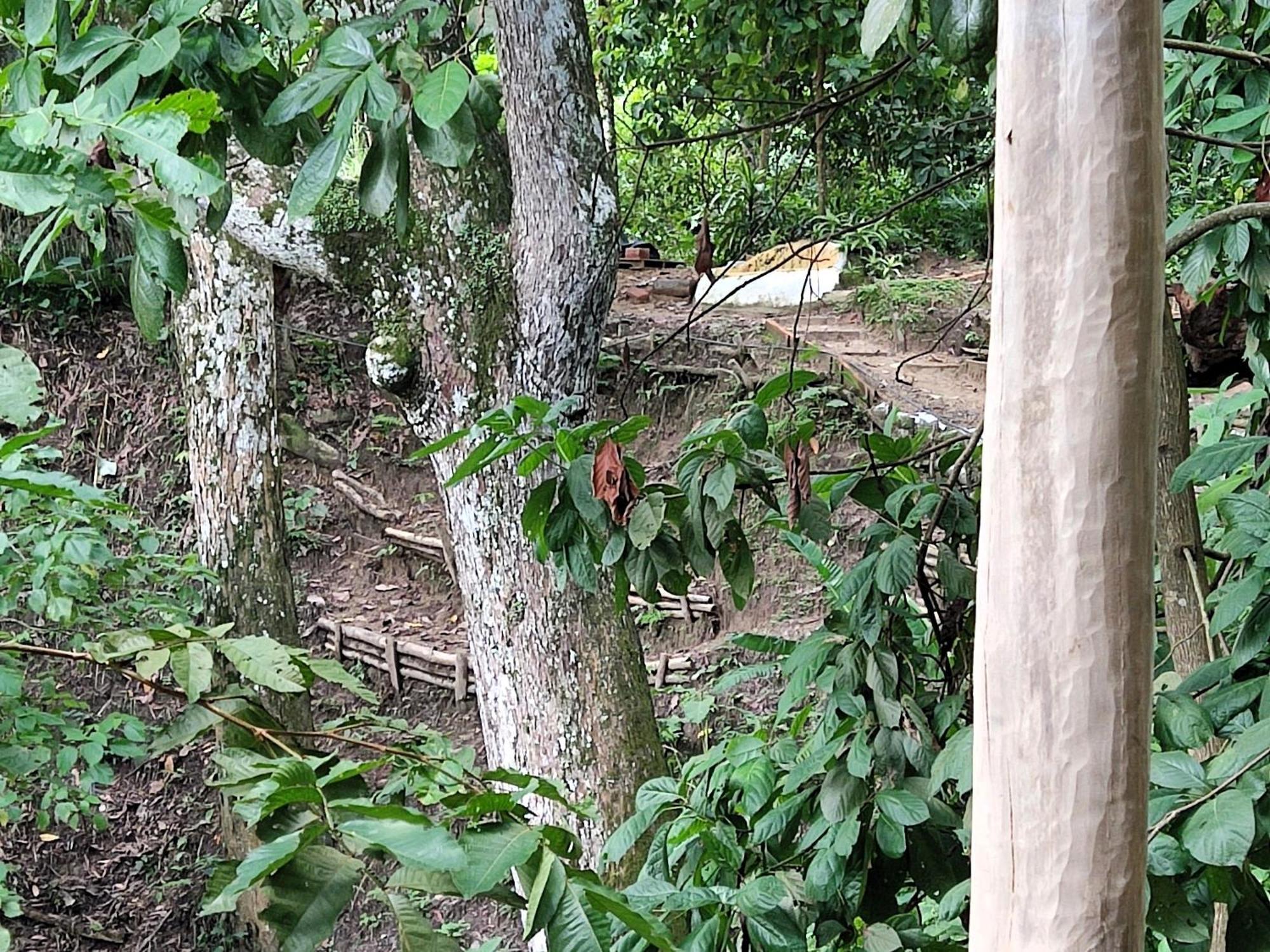 Eden Los Abuelos 2 - Casa Privada En Minca Nature Buitenkant foto